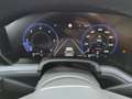Volkswagen Touareg R-Line 3,0 TDI DSG 4M+Pano+IQ+Navi+Leder Schwarz - thumbnail 14