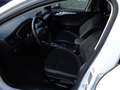 Ford Focus 2.0 TDCI, Autom., SHZ, Tempomat, 1.Hand Weiß - thumbnail 8