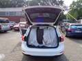 Ford Focus 2.0 TDCI, Autom., SHZ, Tempomat, 1.Hand Weiß - thumbnail 14