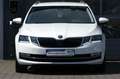 Skoda Octavia Combi 2.0 TDI DSG Premium Edition Weiß - thumbnail 5