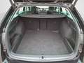 Skoda Octavia Combi 2.0 TDI DSG Style PanoDach HUD Led Noir - thumbnail 13