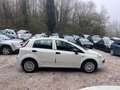Fiat Punto Evo 1.2i 69cv Active 2éme Main Phase 2 Blanc - thumbnail 5