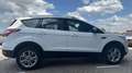 Ford Kuga 1.5 EcoB. ST Line Wit - thumbnail 2