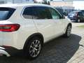 BMW X5 xDrive 30 d xLine: PANO ! VOLL ! Weiß - thumbnail 5