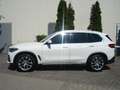 BMW X5 xDrive 30 d xLine: PANO ! VOLL ! Weiß - thumbnail 10