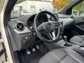 Mercedes-Benz B 180 CDI Edition Bi-Xen NAVI Temp SHZ PDC AHK Fehér - thumbnail 16