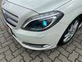 Mercedes-Benz B 180 CDI Edition Bi-Xen NAVI Temp SHZ PDC AHK Fehér - thumbnail 10