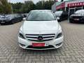 Mercedes-Benz B 180 CDI Edition Bi-Xen NAVI Temp SHZ PDC AHK Fehér - thumbnail 6