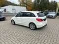 Mercedes-Benz B 180 CDI Edition Bi-Xen NAVI Temp SHZ PDC AHK Fehér - thumbnail 5