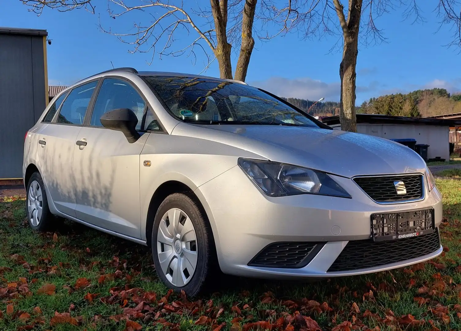 SEAT Ibiza Reference Grau - 1