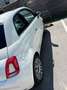 Fiat 500 500 ECO 1,2 69 Lounge Lounge Weiß - thumbnail 3