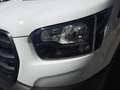 Ford Transit Transit Kasten 2,0 TDCi L2H2 290 Trend Blanc - thumbnail 3