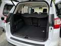 Ford Grand C-Max Titanium Xenon/LED/Navi/Sitzh./Temp./18Zoll Білий - thumbnail 29