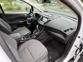 Ford Grand C-Max Titanium Xenon/LED/Navi/Sitzh./Temp./18Zoll Білий - thumbnail 17