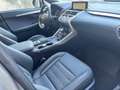 Lexus NX 300 300h F Sport Panorámico 4WD Plateado - thumbnail 20