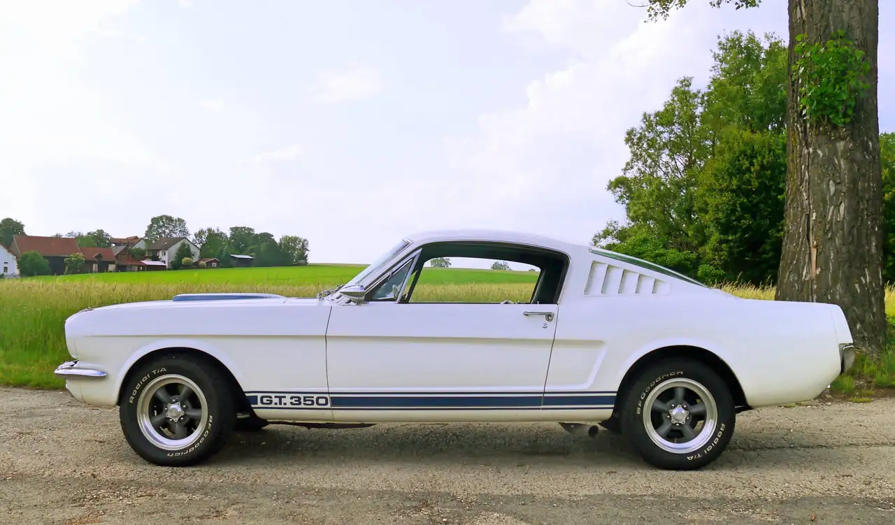 Ford Mustang GT 350 Fastback Shelby, foto 5