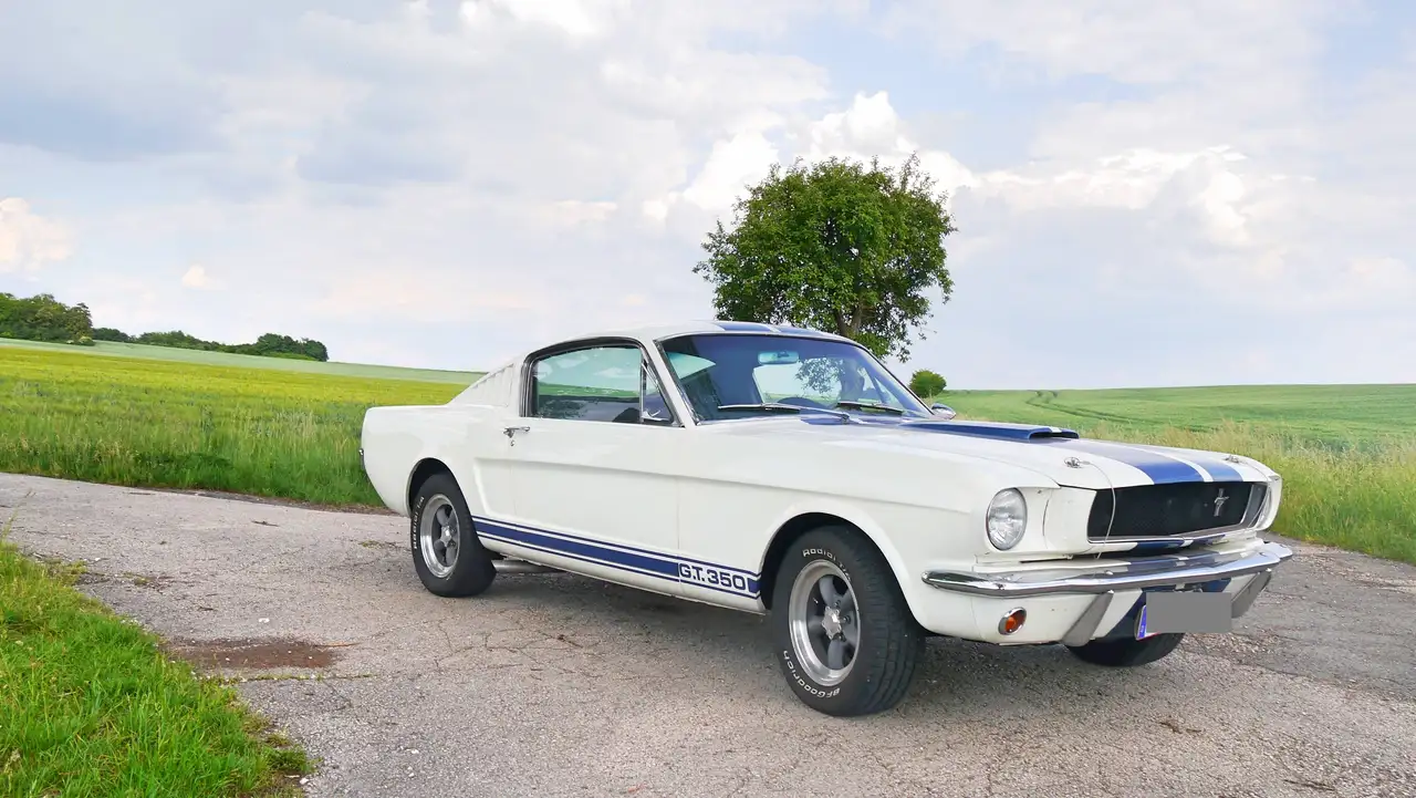 Ford Mustang GT 350 Fastback Shelby, foto 1