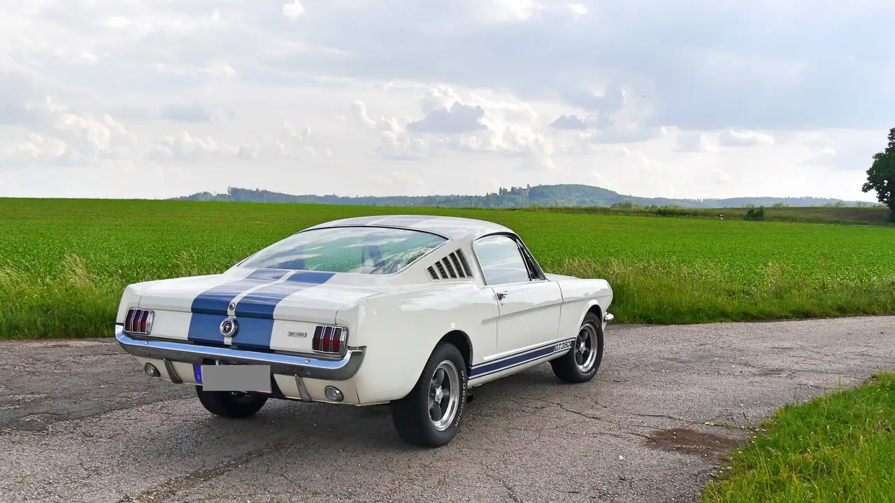 Ford Mustang GT 350 Fastback Shelby, foto 3