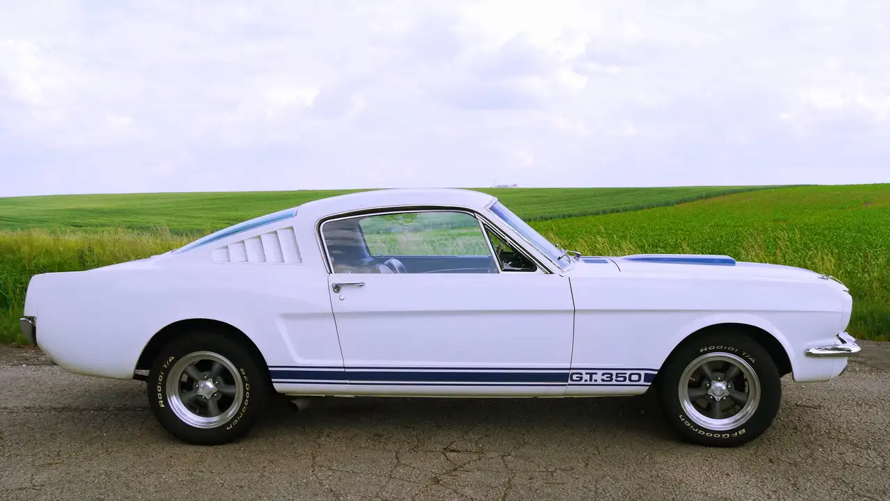 Ford Mustang GT 350 Fastback Shelby, foto 2