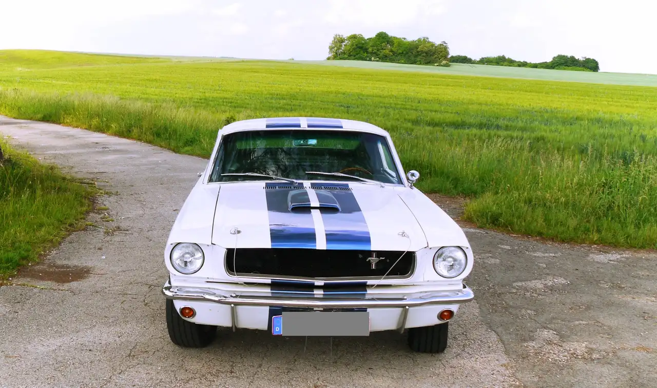 Ford Mustang GT 350 Fastback Shelby, foto 7