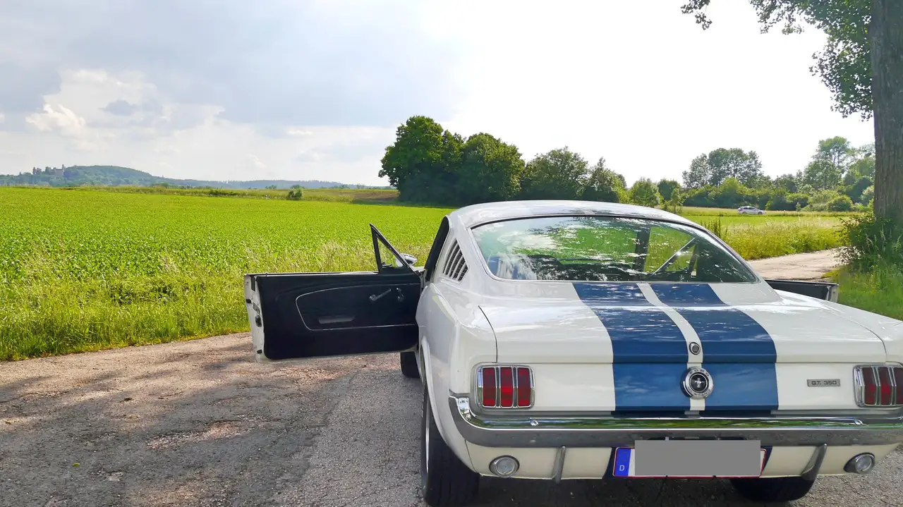 Ford Mustang GT 350 Fastback Shelby, foto 4