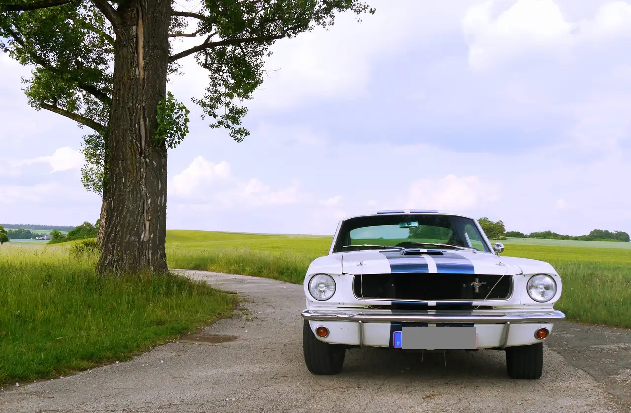 Ford Mustang GT 350 Fastback Shelby, foto 6