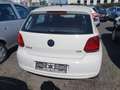 Volkswagen Polo Trendline Weiß - thumbnail 4