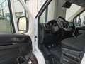 Peugeot Boxer Boxer 333 2.2 BlueHDi 140 S&S PM-TM L2H2 Bianco - thumbnail 11