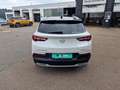 Opel Grandland Ultimate PHEV 4 1,6 AT+AHK+MAT+NAV+APA Klima Navi Weiß - thumbnail 4