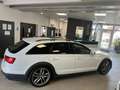 Audi A6 Allroad quattro 3.0 TDI Blanc - thumbnail 8