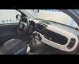 Fiat New Panda Cross 1.0 FireFly Hybrid Blu/Azzurro - thumbnail 12