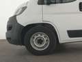 Fiat Ducato Maxi Kamera|Klima|Entry-Paket|CarPlay Weiß - thumbnail 11