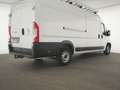 Fiat Ducato Maxi Kamera|Klima|Entry-Paket|CarPlay Weiß - thumbnail 6