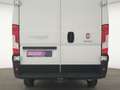 Fiat Ducato Maxi Kamera|Klima|Entry-Paket|CarPlay Weiß - thumbnail 7