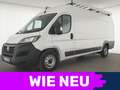 Fiat Ducato Maxi Kamera|Klima|Entry-Paket|CarPlay Weiß - thumbnail 1