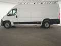 Fiat Ducato Maxi Kamera|Klima|Entry-Paket|CarPlay Weiß - thumbnail 9