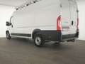 Fiat Ducato Maxi Kamera|Klima|Entry-Paket|CarPlay Weiß - thumbnail 8