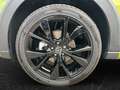 Volkswagen Taigo 1.5 TSI DSG R-Line Grün - thumbnail 6