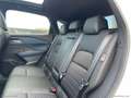 Nissan Qashqai MHEV 140 CV Tekna Bianco - thumbnail 12
