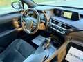 Lexus UX 250h 250h 2.0 184cv Business Tagliandi & Garanzia LEXUS Weiß - thumbnail 14