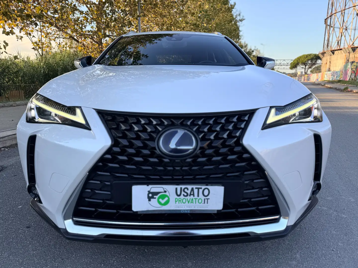 Lexus UX 250h 250h 2.0 184cv Business Tagliandi & Garanzia LEXUS Bianco - 1