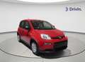 Fiat Panda 1.0 Hybrid 51kW (70cv) Rojo - thumbnail 3