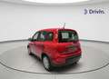 Fiat Panda 1.0 Hybrid 51kW (70cv) Rojo - thumbnail 5
