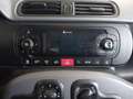 Fiat Panda 3ª serie 1.3 MJT 95 CV S&S 4x4 Bianco - thumbnail 19