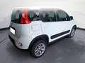 Fiat Panda 3ª serie 1.3 MJT 95 CV S&S 4x4 Alb - thumbnail 4
