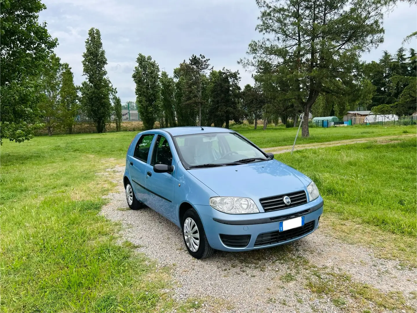 Fiat Punto 5p 1.2 Dynamic Blu/Azzurro - 2
