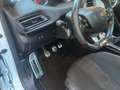 Peugeot 308 BlueHDi 150 S&S GT Line TETTO Blanc - thumbnail 25