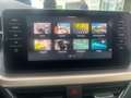 Skoda Kamiq Style TDI DSG Blau - thumbnail 24