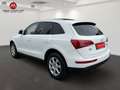 Audi Q5 Q5 2,0 TDI quattro DPF S-tronic | Panorama | Weiß - thumbnail 5