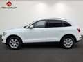 Audi Q5 Q5 2,0 TDI quattro DPF S-tronic | Panorama | Weiß - thumbnail 6